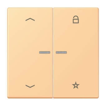 Jung eNet Taster Uni 1f FM LC 1701 P 258 