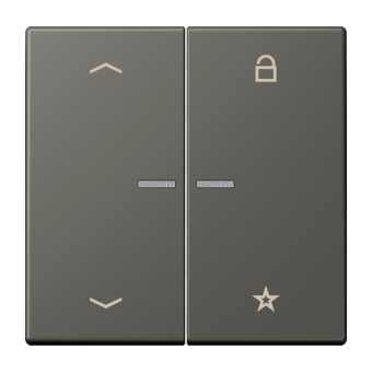 Jung eNet Taster Uni 1f FM LC 1701 P 259 