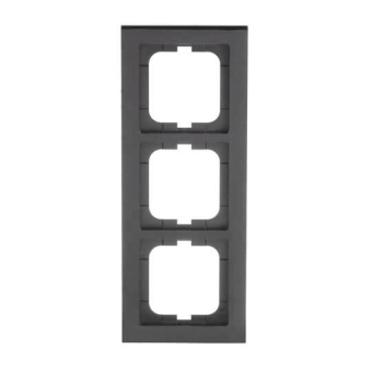 BJ Axcent Rahmen                1723-281 