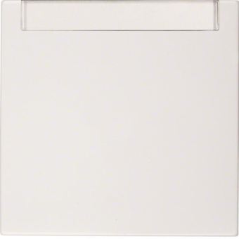 BER S1 Wippe Wechsel mit        16268989 