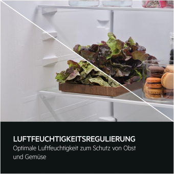 AEG TSC5S183ES EB-Kühlkombi 