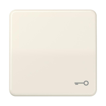 JG Wippe Tür                      CD590T 