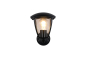 Trio Wandleuchte VENTA        263260232 