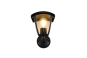 Trio Wandleuchte VENTA        263260232 