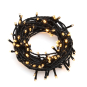 LED-Microkette Außen 100er kurz 3897-800 
