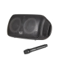 Wave Audio Party Speaker 60W 