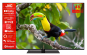 JVC LT-65VU6355 sw LED-TV FH 