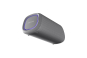 LG DXG7QGR gr XBOOM Go Bluetooth-Speaker 