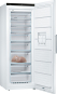 Bosch GSN58DWDV ws Standgefrierschrank 