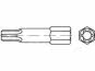 Reyher Bits TORX 25, 10 Stück im Beutel 