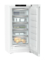 Liebherr FNa 6625-20 ws Gefrierschrank 