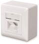 ASSM CAT 6 Klasse E Datendose  DN-9006-N 