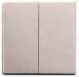 BJ FoH-Bedienelement 2fach   6736 FoH-83 