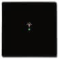 BJ Wippe 1-fach,Symbol Licht  6231-10-81 