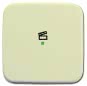BJ Wippe 1-fach,Symbol Licht 6233-10-212 