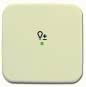 BJ Wippe 1-fach Symbol Licht 6234-10-212 