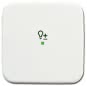 BJ Wippe 1-fach Symbol Licht 6234-10-214 