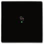 BJ Wippe 1-fach,Symbol Dimmer 6234-10-81 