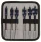 Bosch Flachfräsbohrer-Set     2608595425 