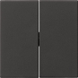 GIRA 0915005 Wippe 2fach Tastschalter 