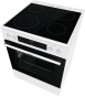 Gorenje GECS 6C70 WPA ws Standherd 