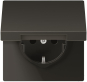 Jung SCHUKO Steckd.m.Klappd. AL1520NKLAN 