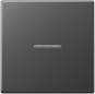 JG Wippe f.Schalter/      A590BFKO5ANM 