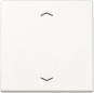 Jung Steuertaste Standard       A1700PWW 