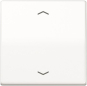 Jung Steuertaste Standard      AS1700PWW 