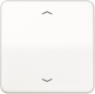 Jung Steuertaste Standard      CD1700PWW 