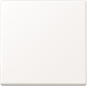 Jung Steuertaste Std          A1700BFWWM 