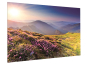 KIND FullVision 175x280cm     6005000003 