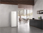 Miele FN 4372 E ws Standgefrierschrank 