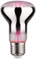 Paulmann LED Fil Plant R63 E27     28732 
