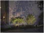 Paulmann Outdoor Plug & Shine      94284 