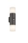 TRIO Fassadenleuchte HOOSIC    222260242 