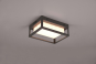 TRIO Wand/Deckenleuchte WITHAM 277860142 