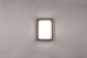 TRIO Wand/Deckenleuchte WITHAM 277860142 