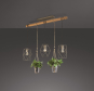 TRIO Pendelleuchte PLANT,3x    301000367 