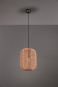 TRIO Pendelleuchte RUNA,1x E27 303090132 