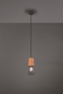 TRIO Pendelleuchte TOSH, 1xE27 304300132 