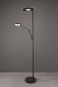 TRIO LED-Stehl.                424210332 