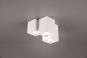 TRIO Deckenleuchte FERNANDO 3x 604900331 