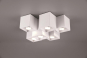 TRIO Deckenleuchte FERNANDO 6x 604900631 