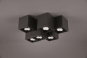 TRIO Deckenleuchte FERNANDO 6x 604900632 