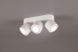 TRIO Ein-/Aufbauspot TAURUS ws 652910331 
