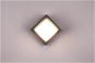 TRIO Wand/Fassadenleuchte PUNO R27026132 