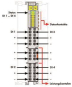 WAGO 750-1421 4-Kanal-Digitaleingang,DC 