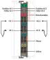WAGO 750-469/040-000 2-Kanal- 