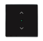BJ Wippe 1-fach,Symbol        6232-10-81 
